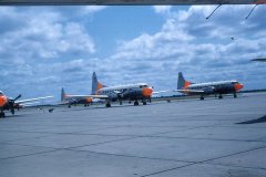 gallery_harlingen_flt_line-202