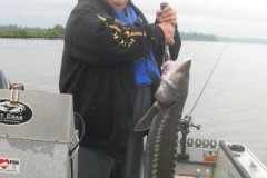 gallery_current_60-01-inman-3