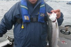 gallery_current_60-01-inman-6