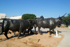 Reunion 2024 AFNOA